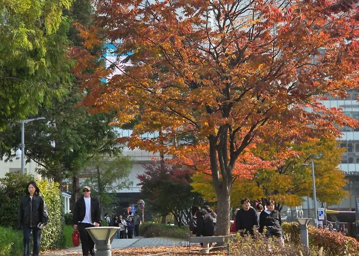 이든하우스 *